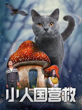 国产h在线