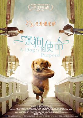 ag影院免费区