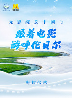 美女午夜网站视频
