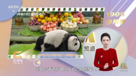 黑人寄宿dasd_541中文字幕